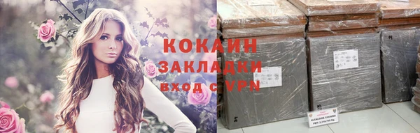 гашик Бородино