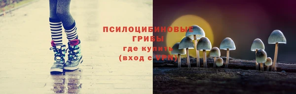 ПСИЛОЦИБИНОВЫЕ ГРИБЫ Бугульма
