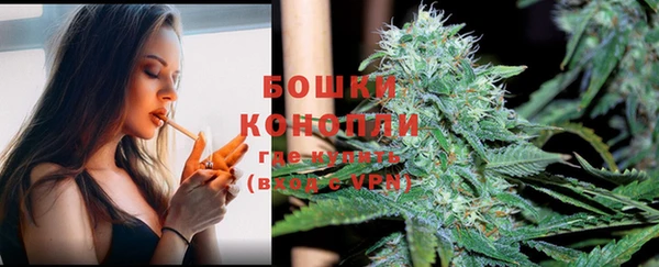 гашик Бородино