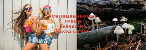 гашик Бородино
