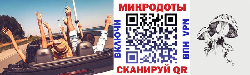 Галлюциногенные грибы Psilocybe Ачхой-Мартан